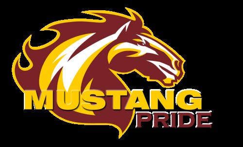 Mustang horse 